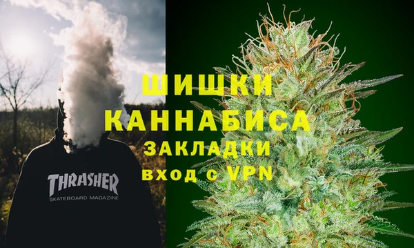 амф Бородино
