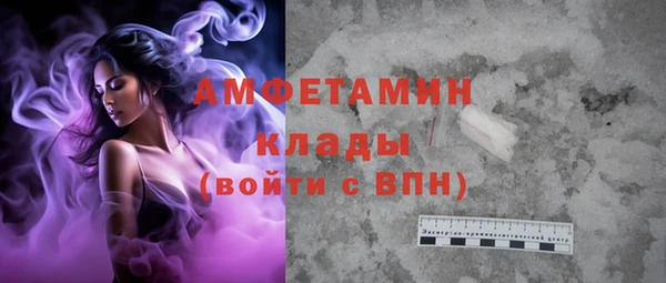 амф Бородино