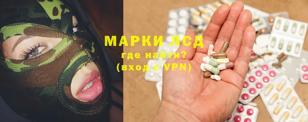 амф Бородино